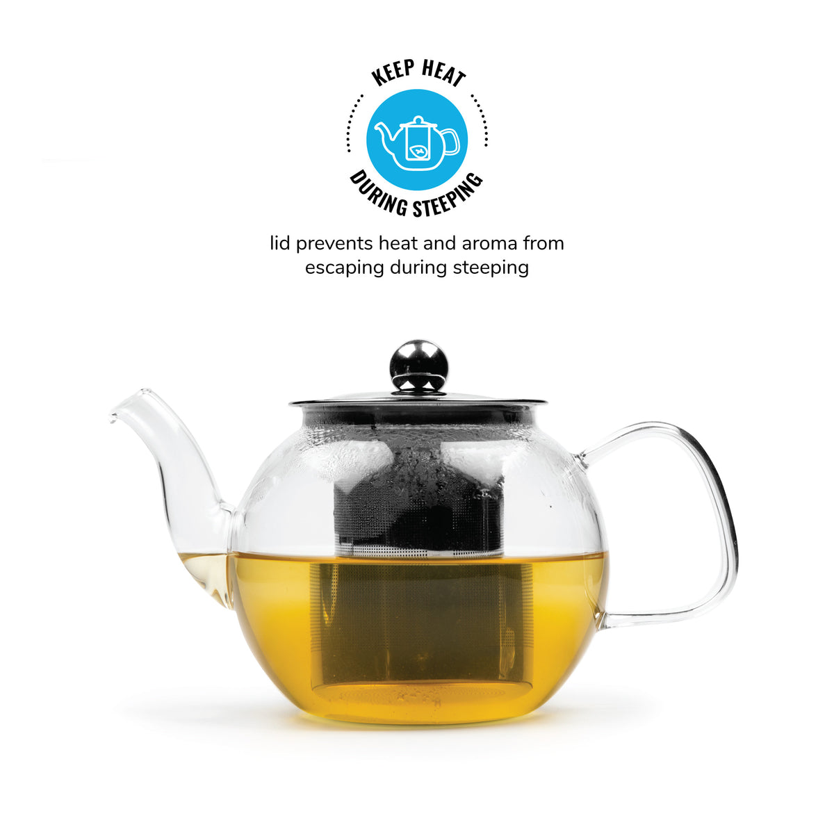 Zen Teapot Glass Kettle With An Infuser Udyan Tea