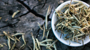 7 reasons why you should make drinking white tea a priority