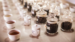 Take your relationship with tea to the next level: become a tea taster!