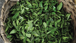 What makes Darjeeling tea the darling tea of all?