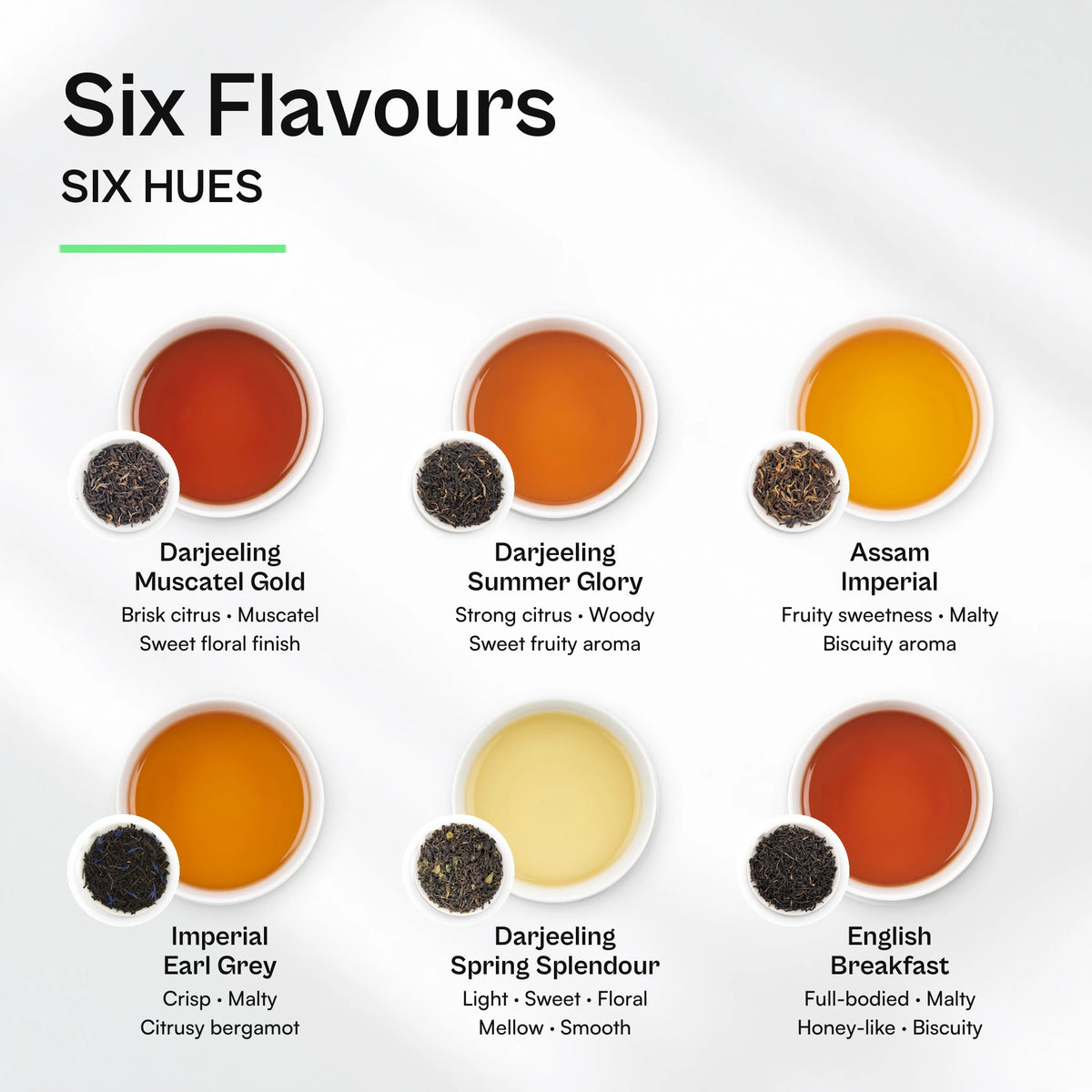 Brewed colour and flavour notes of the six teas in the Black Tea Sampler Pack