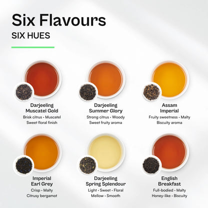 Brewed colour and flavour notes of the six teas in the Black Tea Sampler Pack