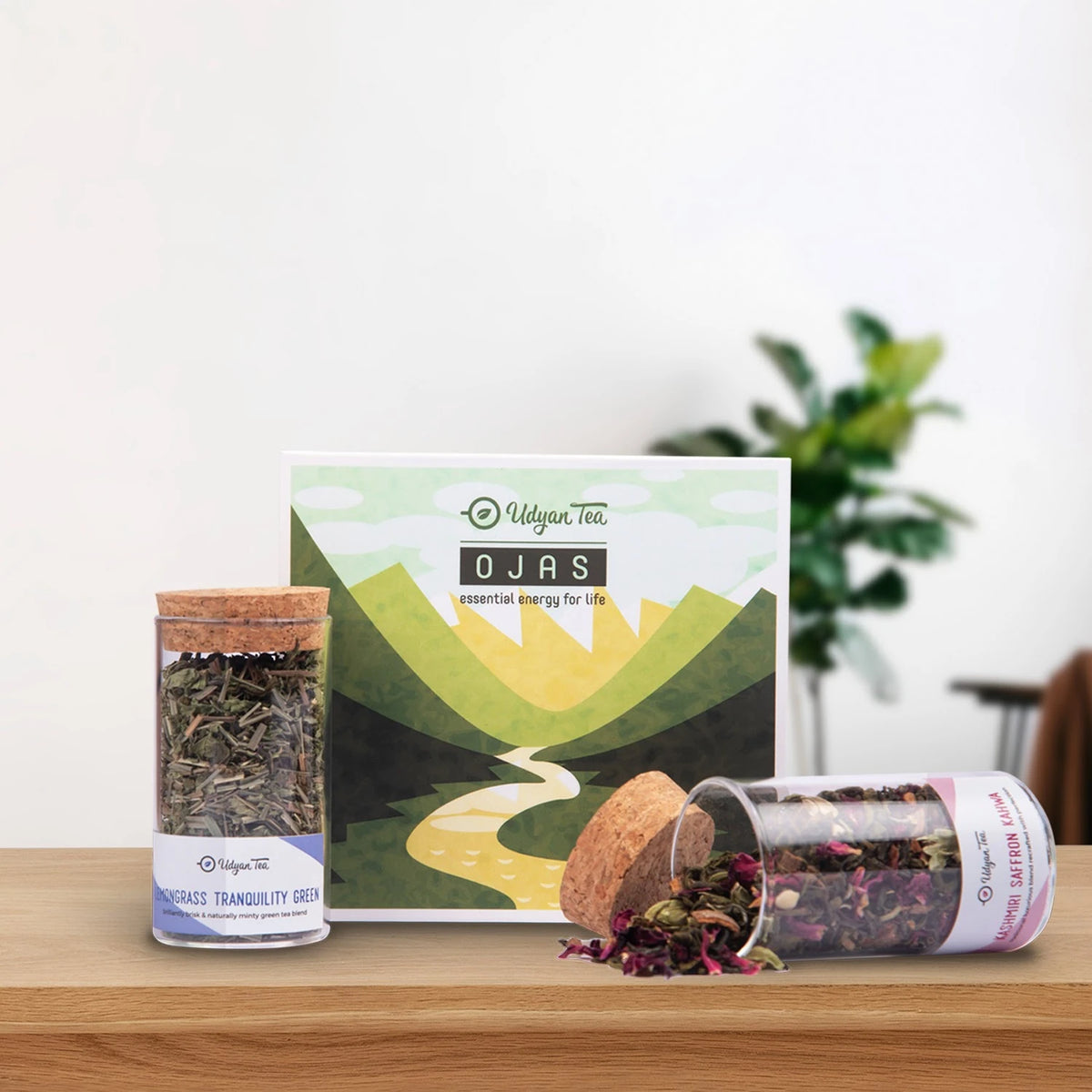 Ojas Tea Gift Box, styled photo (2)